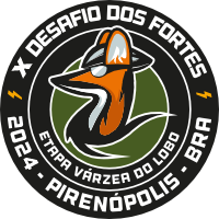 Logo Desafio dos Fortes 2024